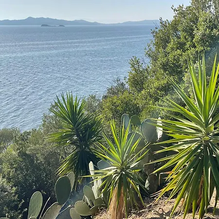 Sound Of Athos Uranúpoli